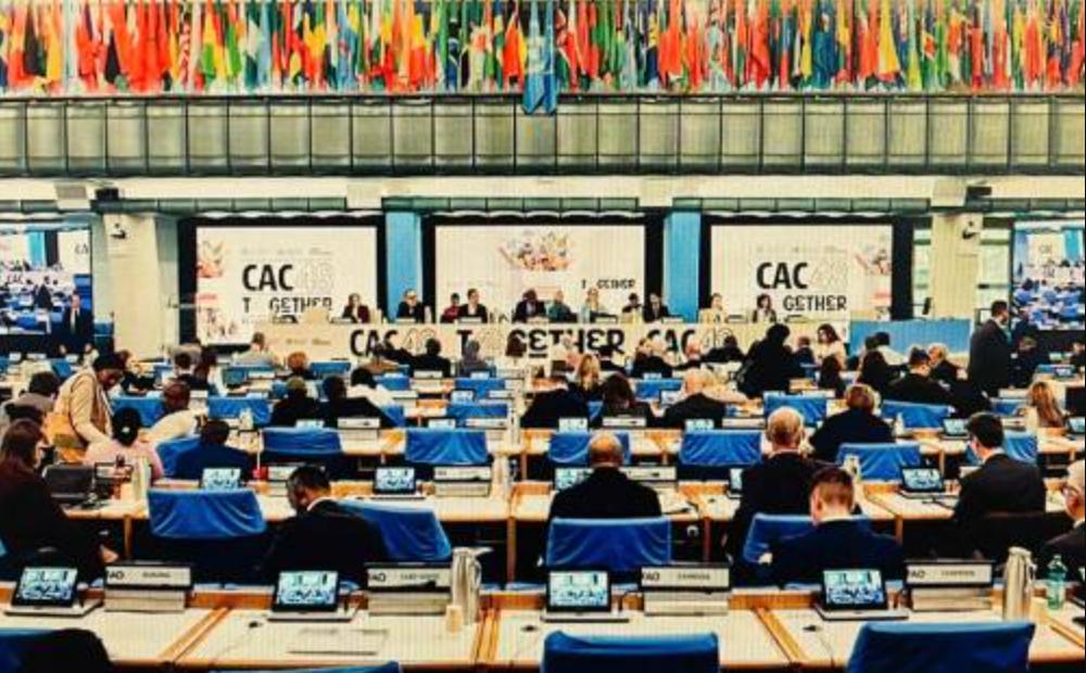 tieu chuan chung codex ve phu gia thuc pham ban 2025